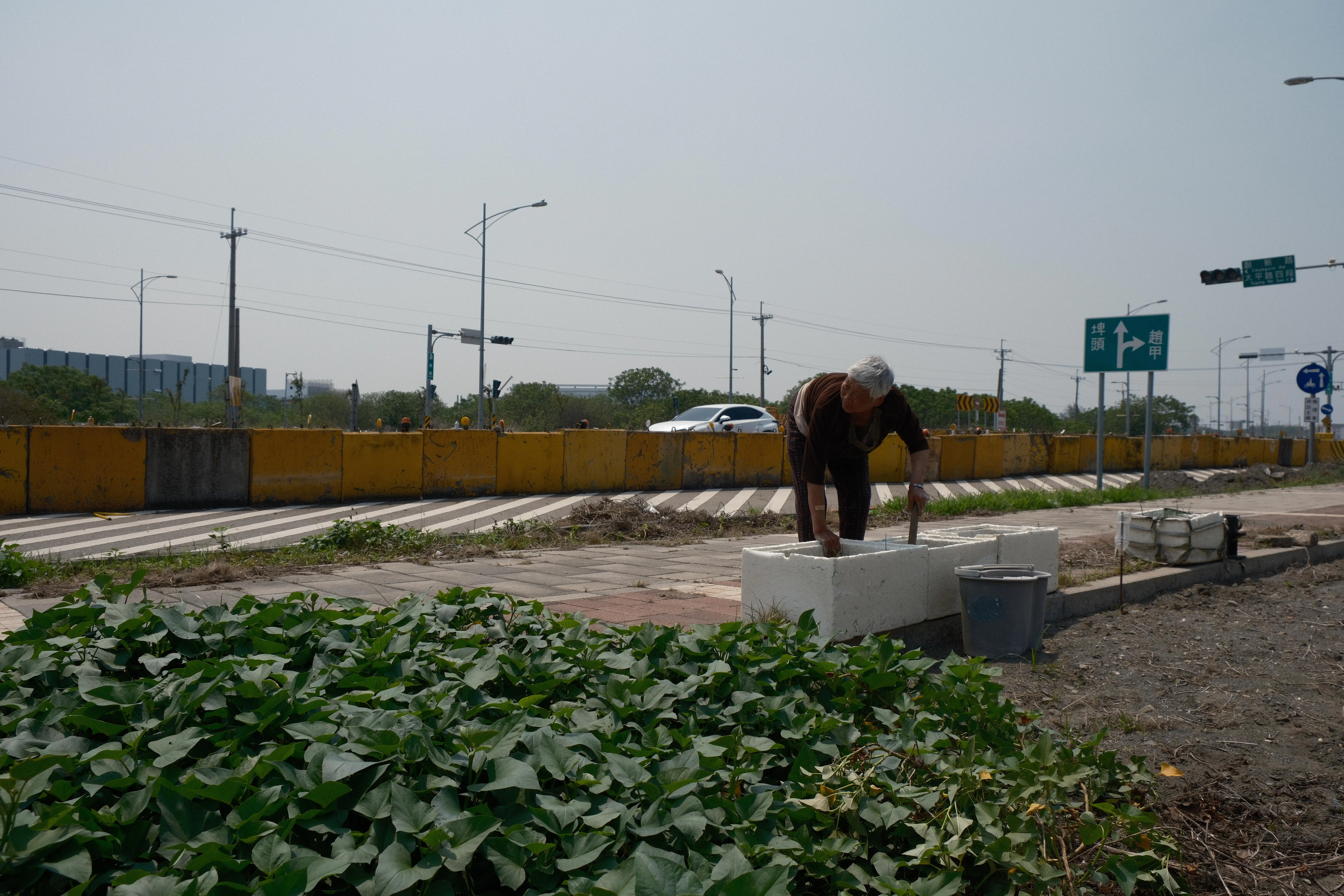Erlin — Meifang — image 1