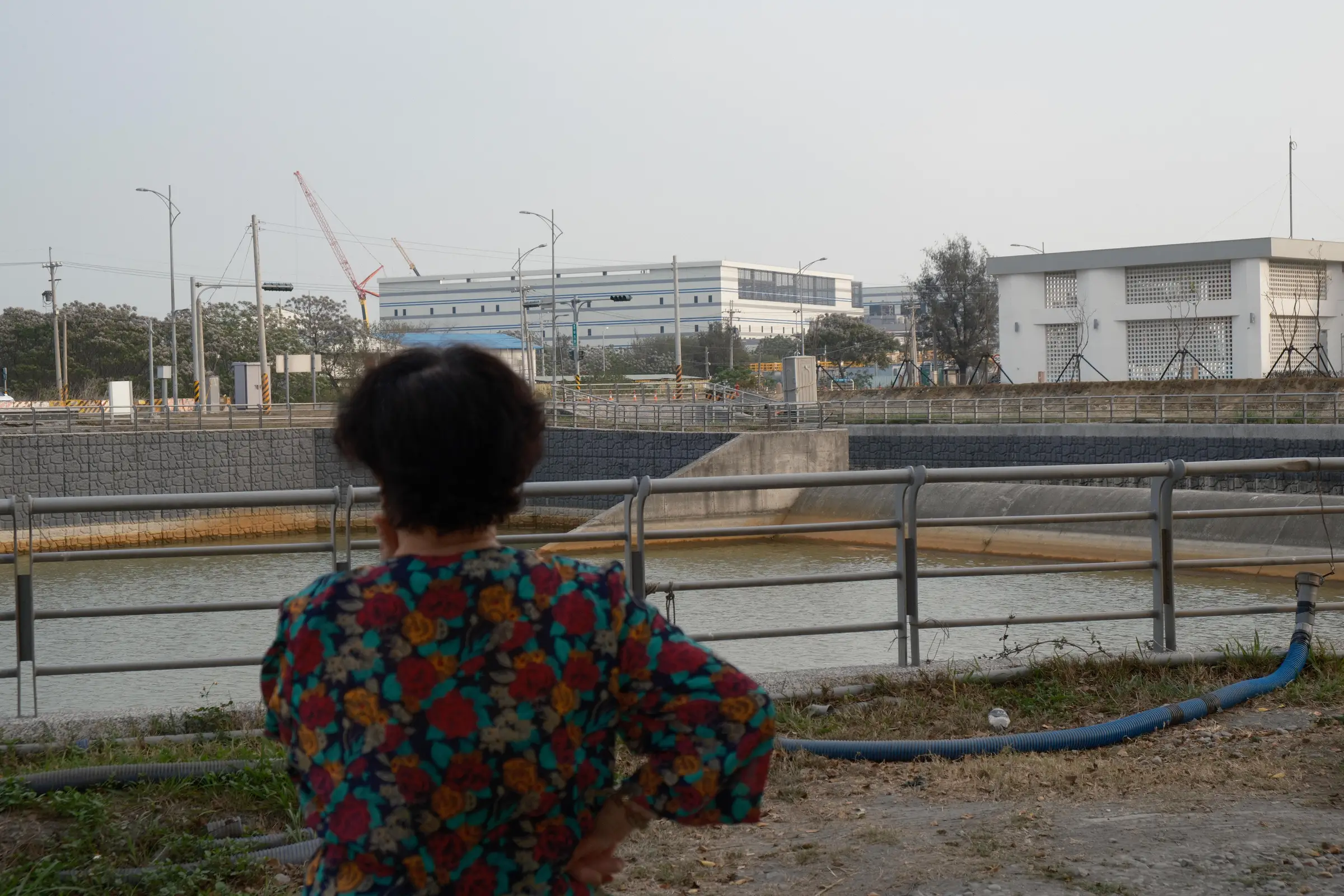 Erlin — Meifang — image 5