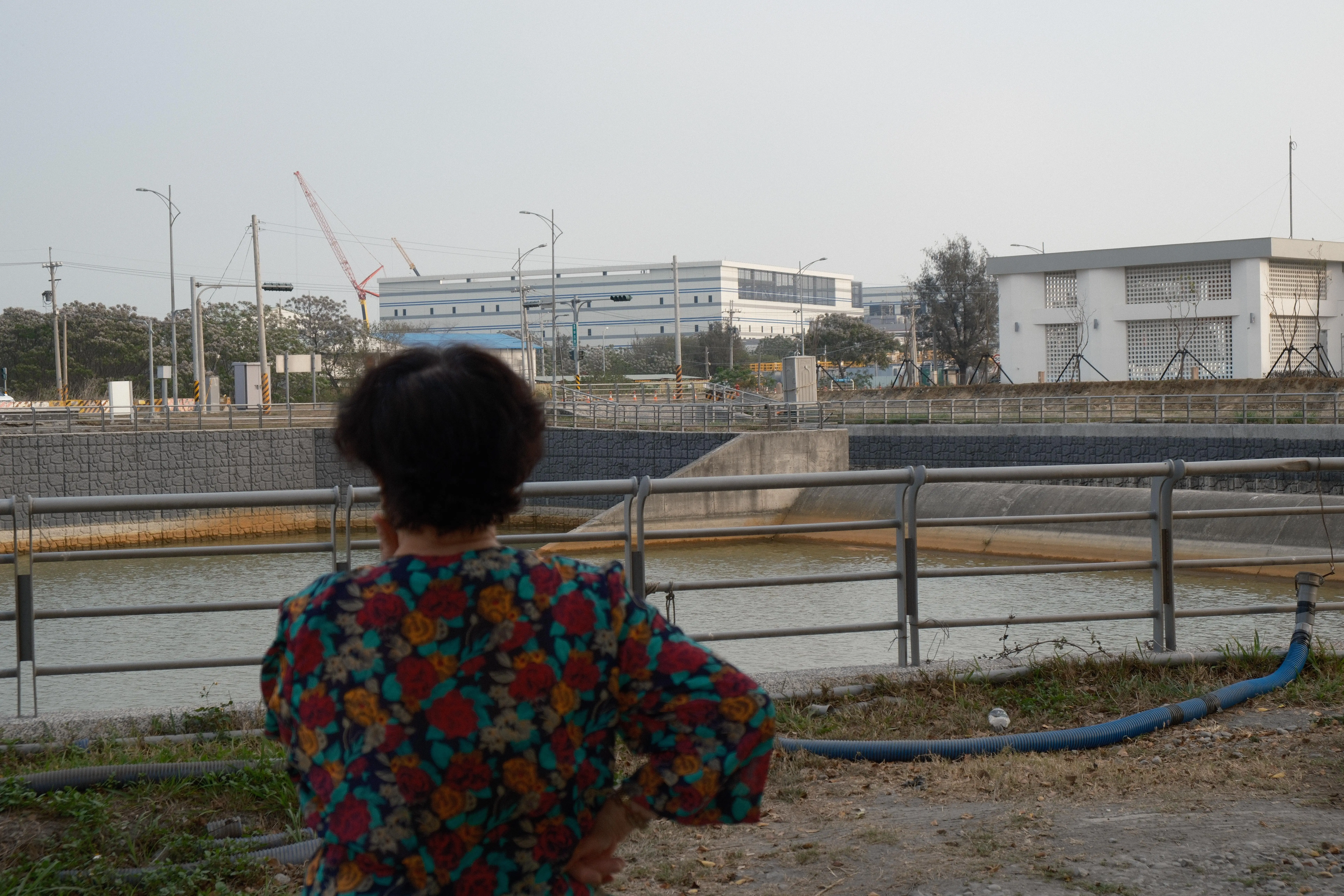 Erlin — Meifang — image 5