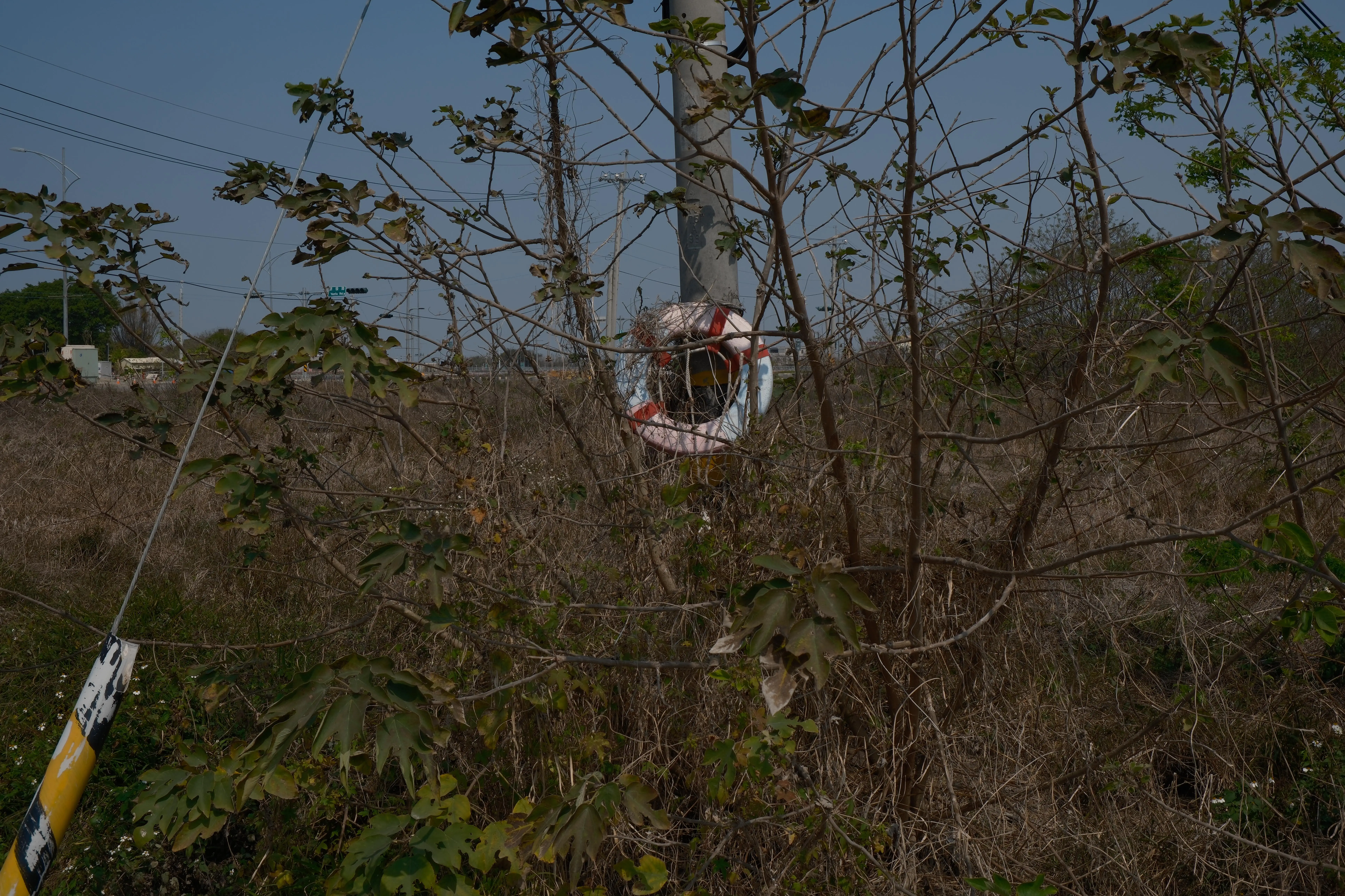 Erlin — Meifang — image 6