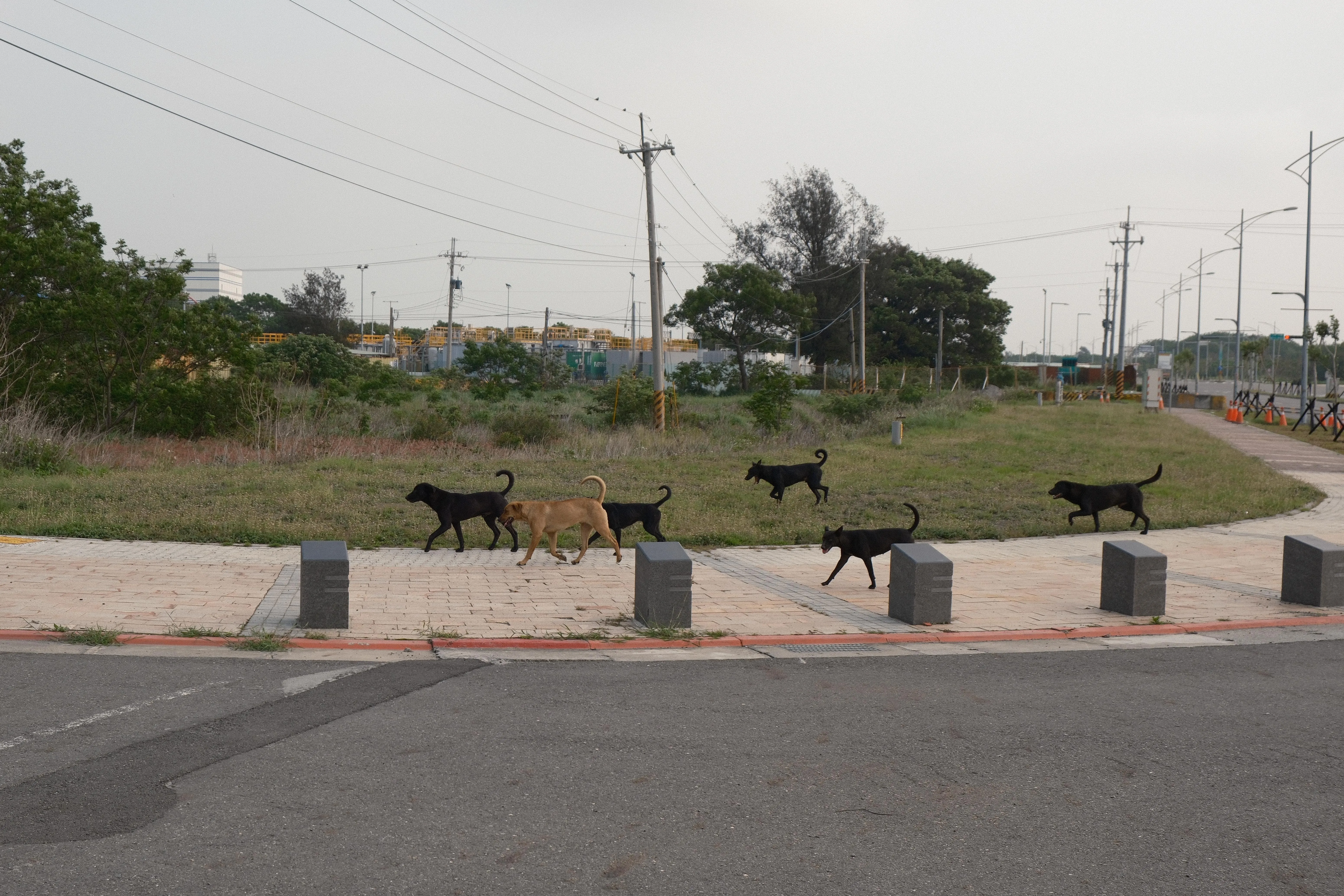 Erlin — Meifang - Image 9