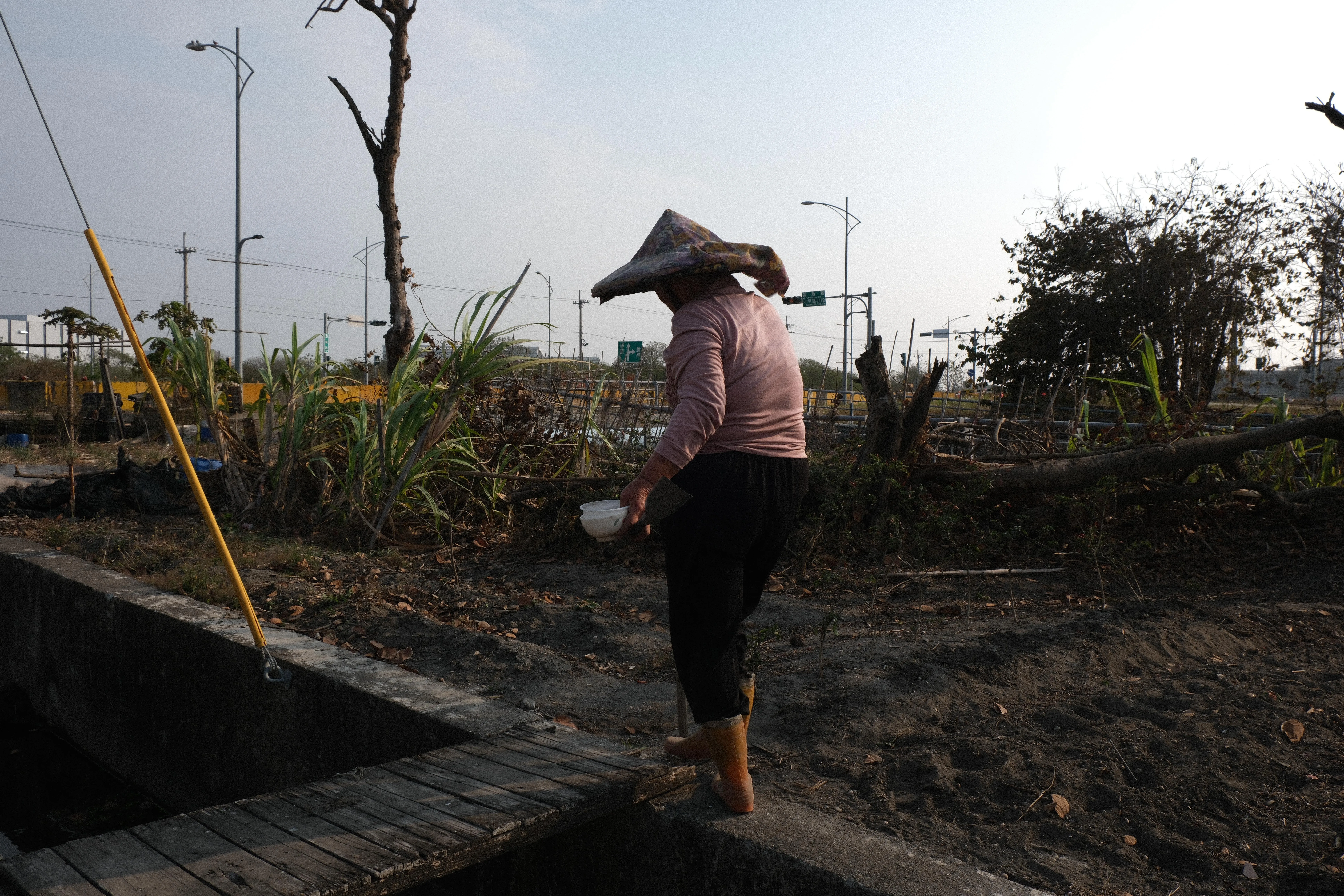 Erlin — Meifang - Image 15