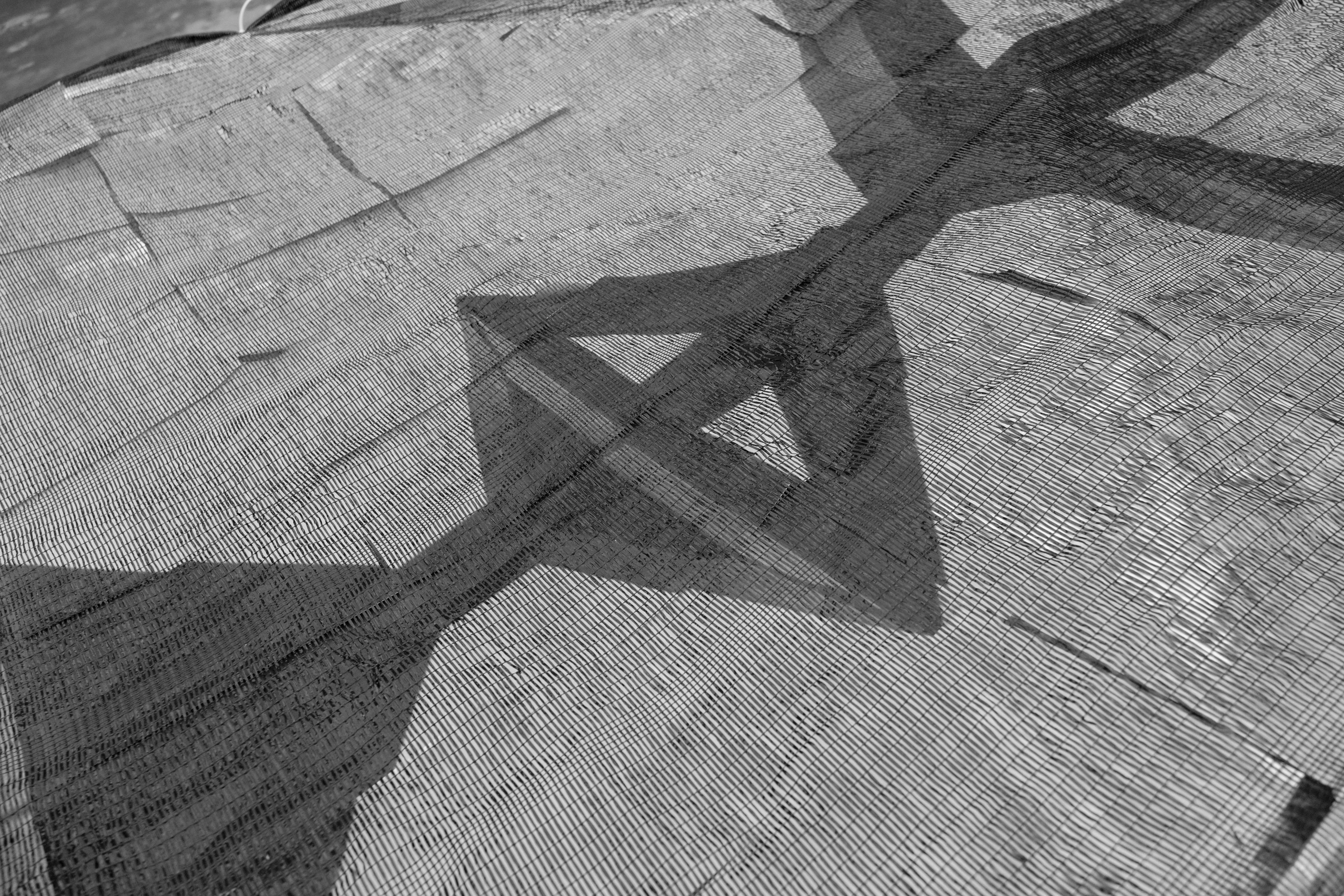 Monument 001 — image 2