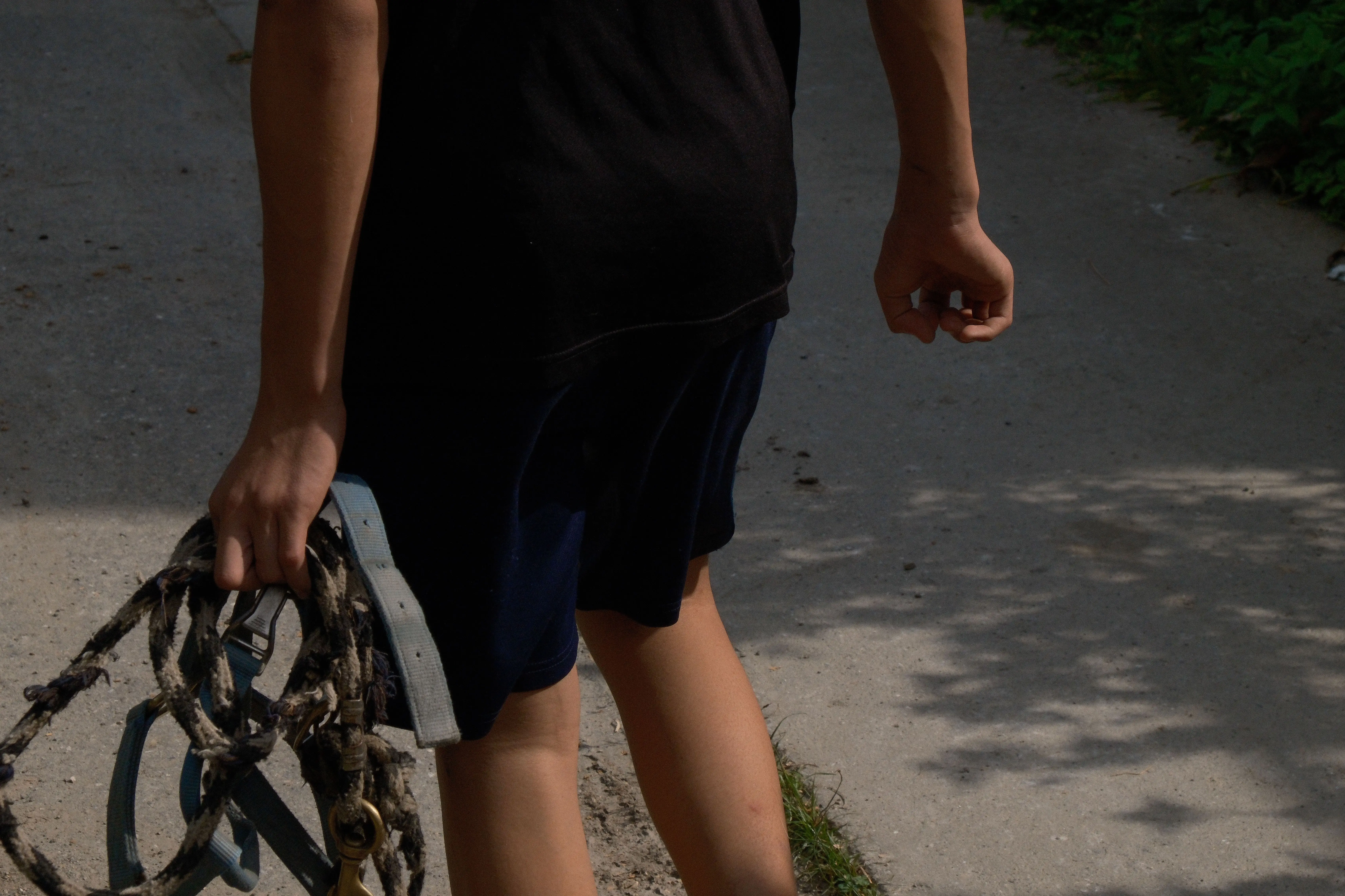 Silent on Horseback — image 2