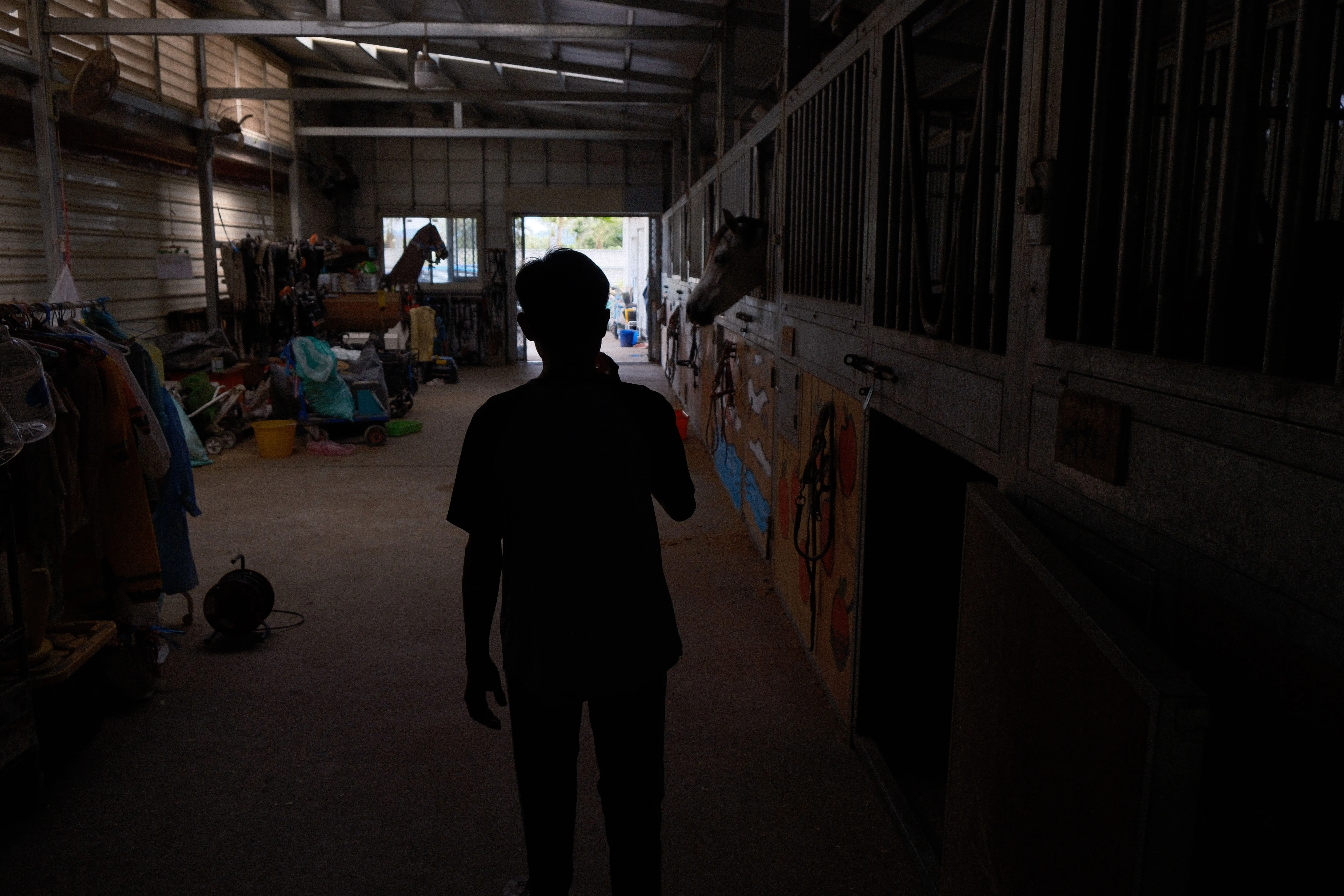 Silent on Horseback — image 6