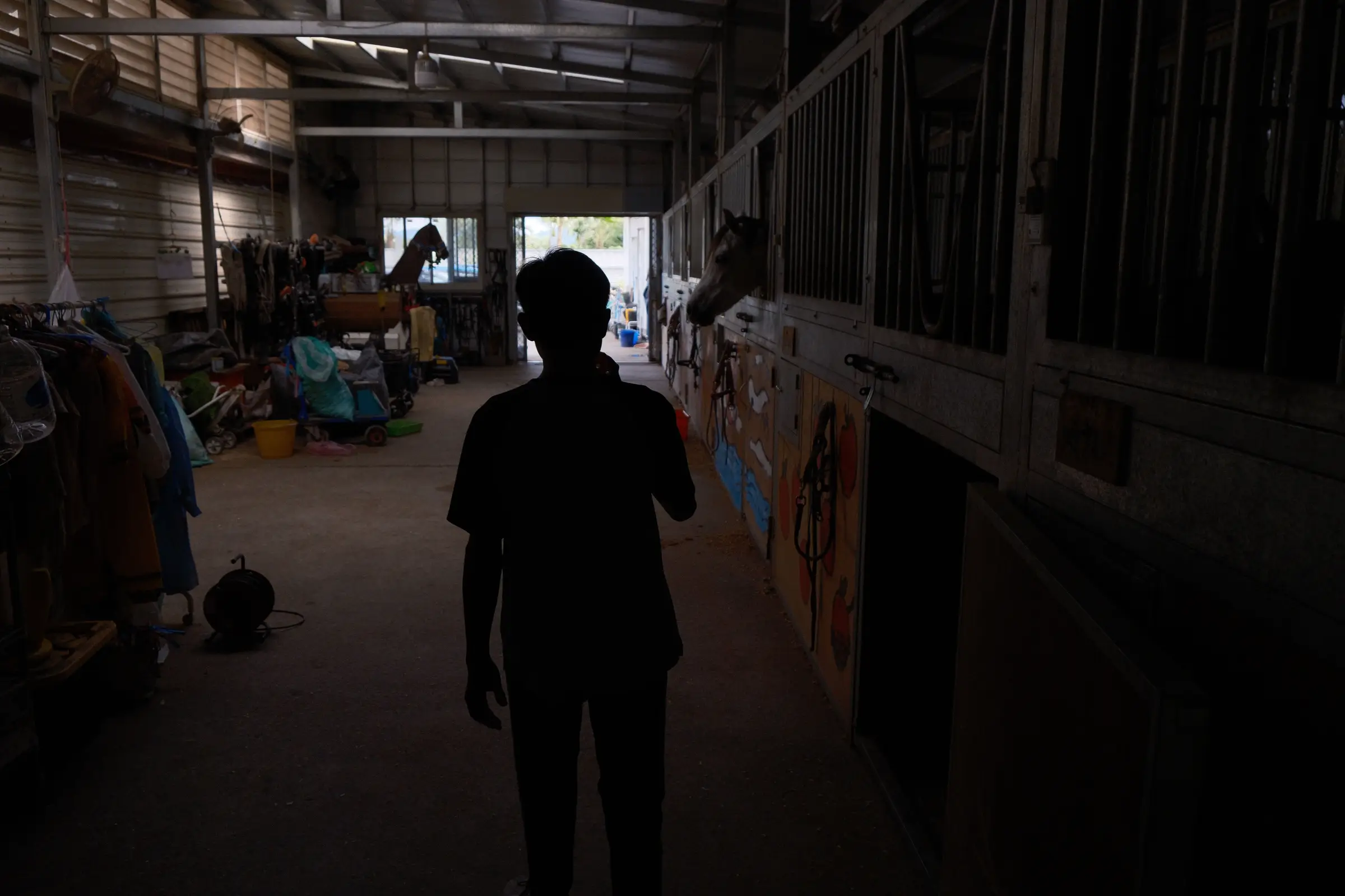 Silent on Horseback — image 6