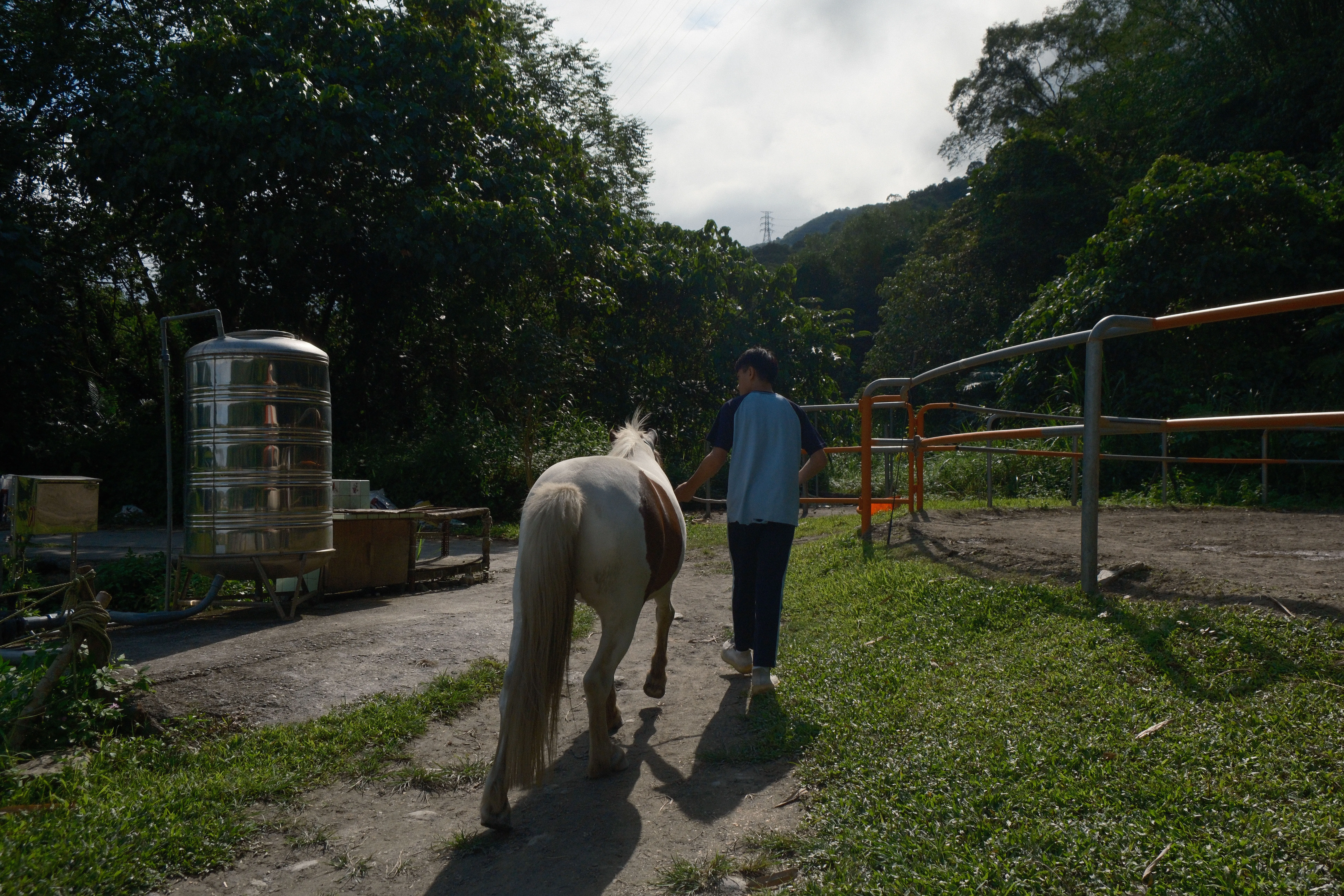 Silent on Horseback - Image 11