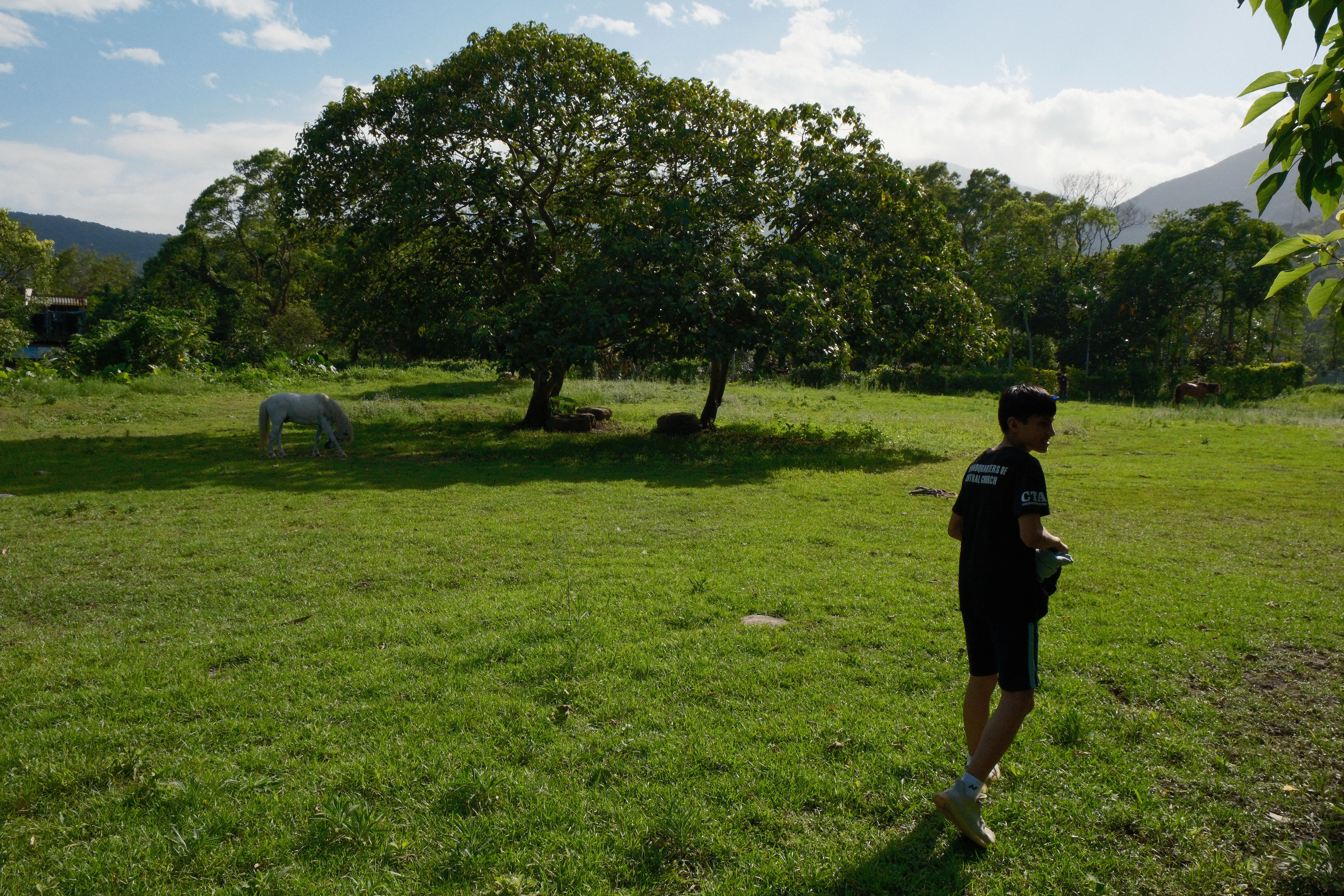 Silent on Horseback — image 13