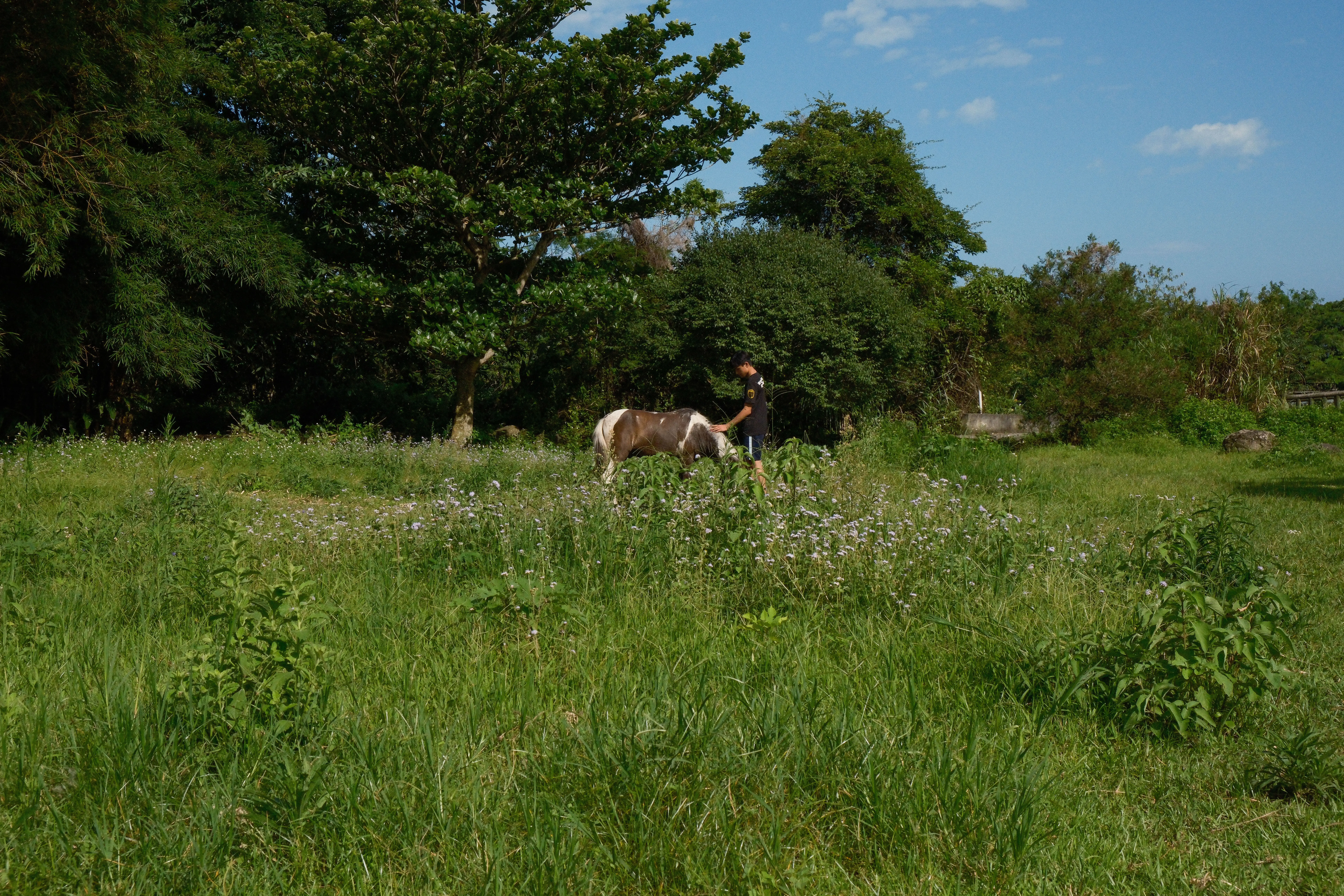 Silent on Horseback — image 14