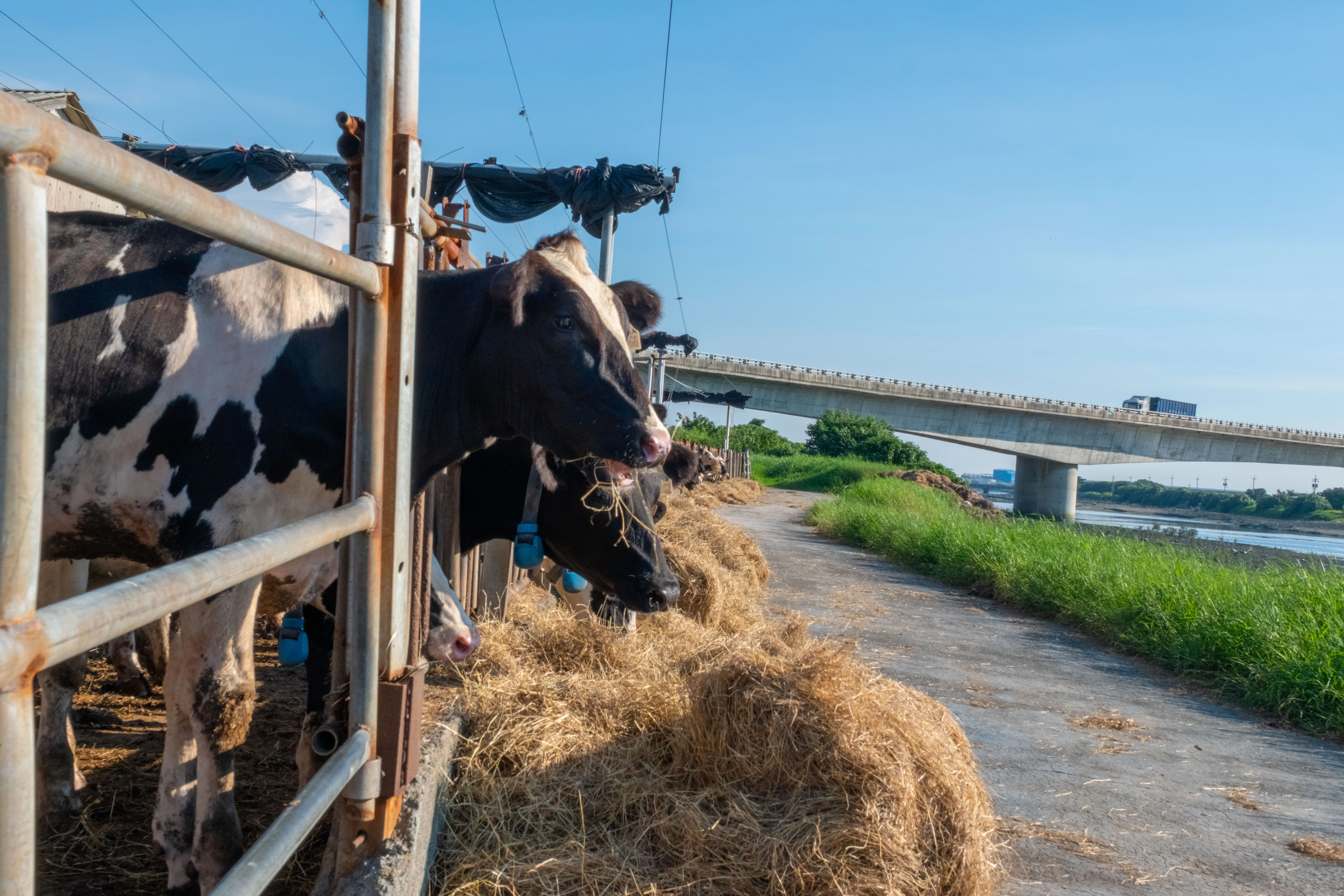 Provincial Highway 61 - Image 5