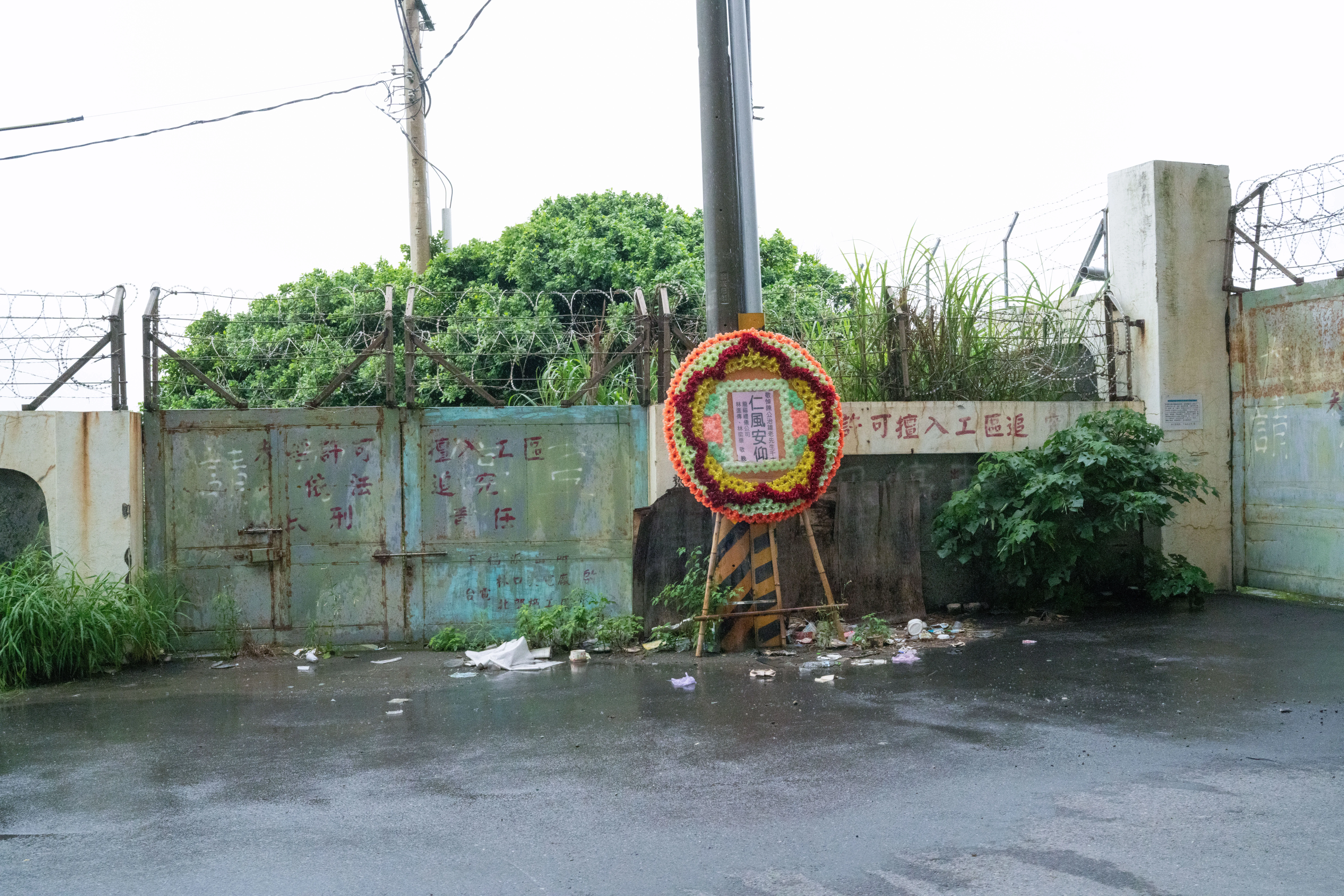 Provincial Highway 61 - Image 11