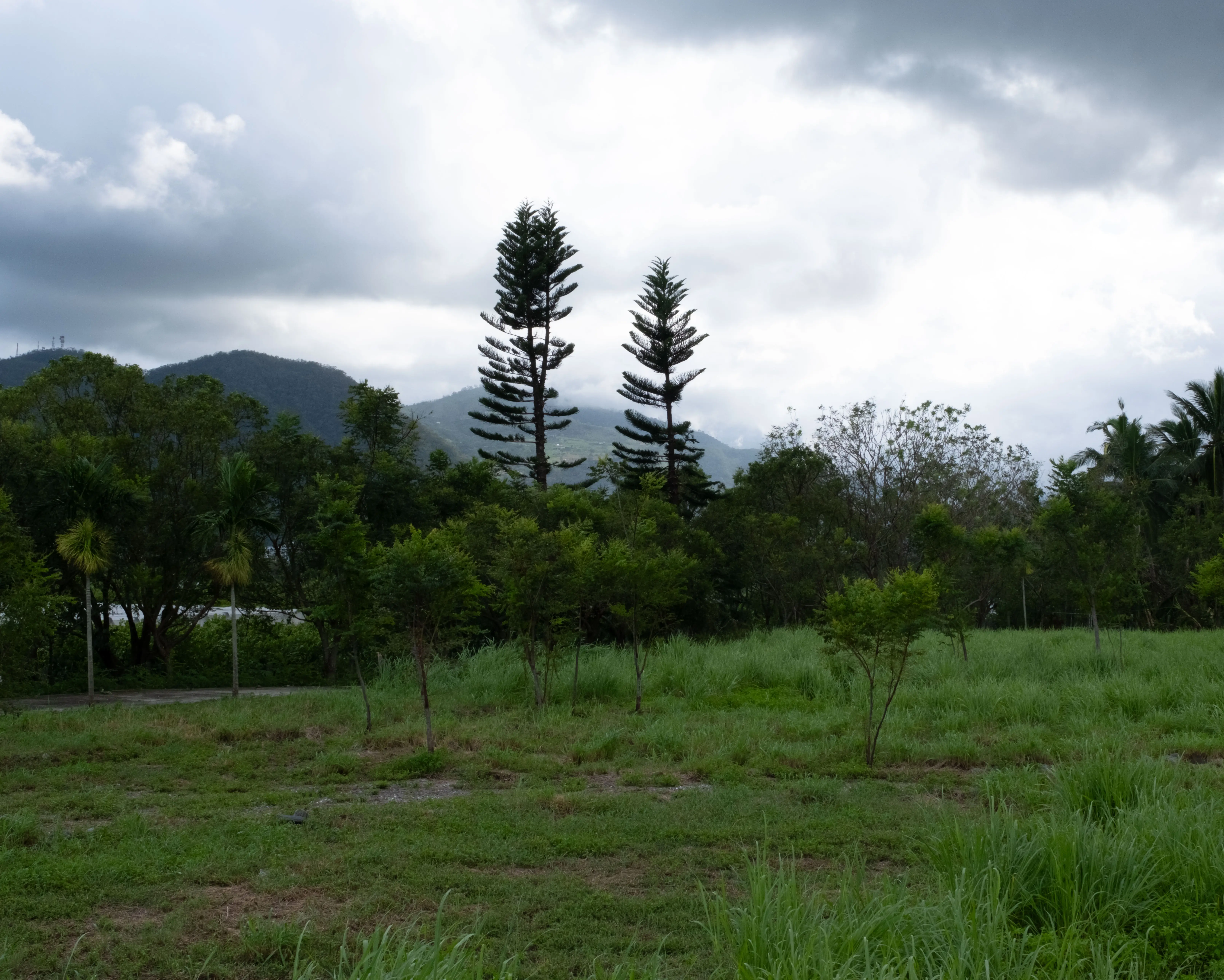 Katratripulr(知本） — image 1