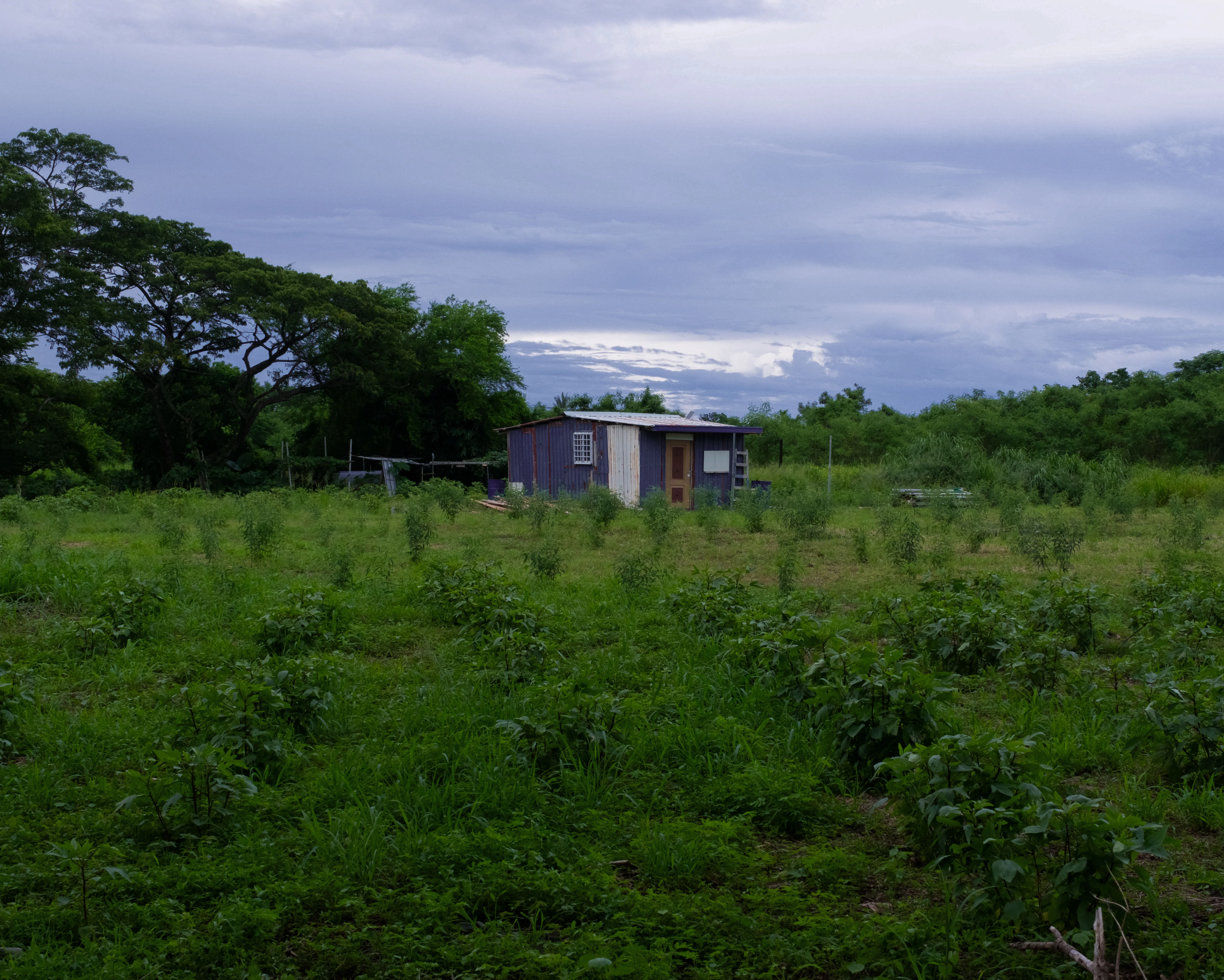 Katratripulr(知本） - Image 2