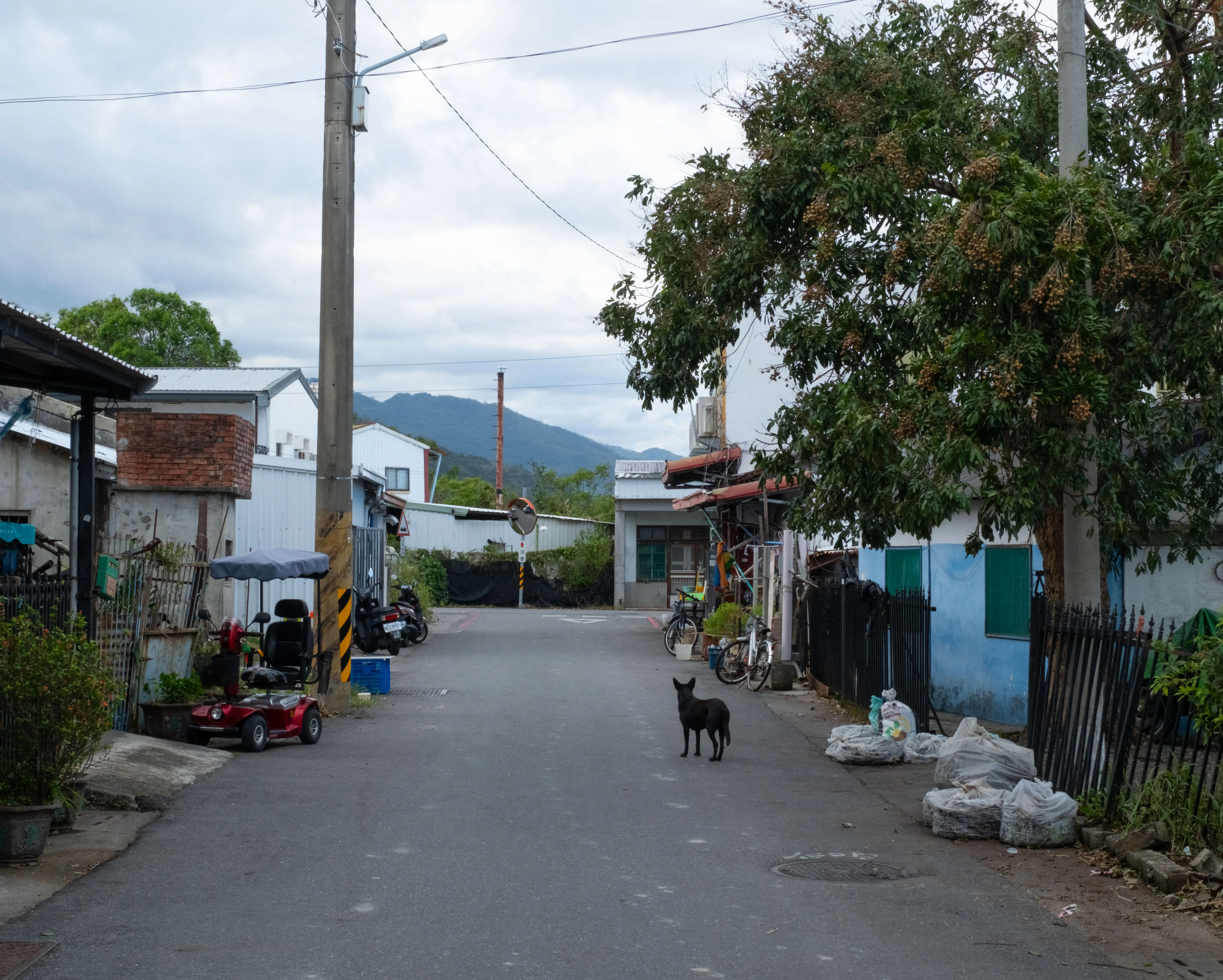 Katratripulr(知本） — image 16