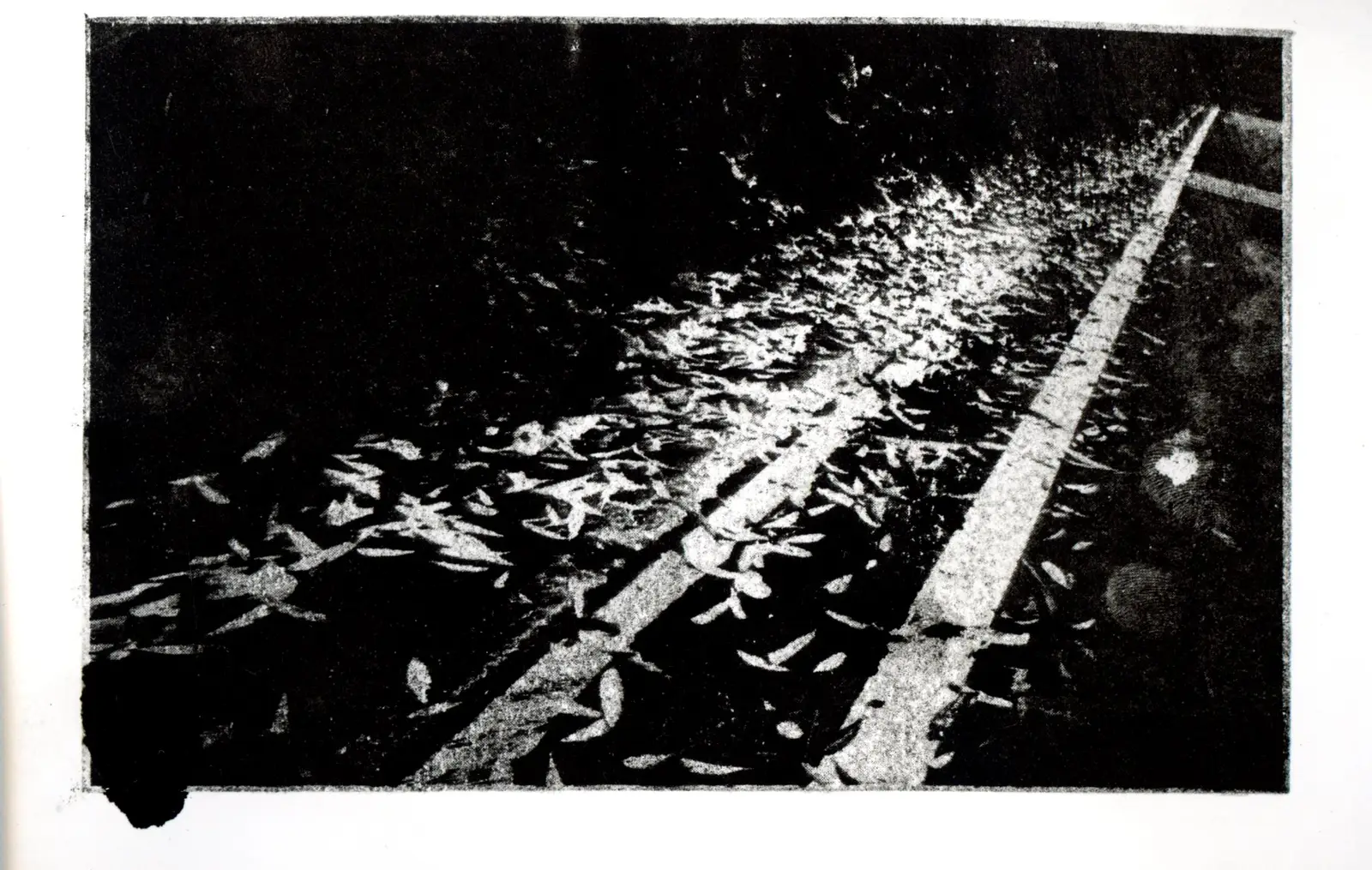 Return — image 16