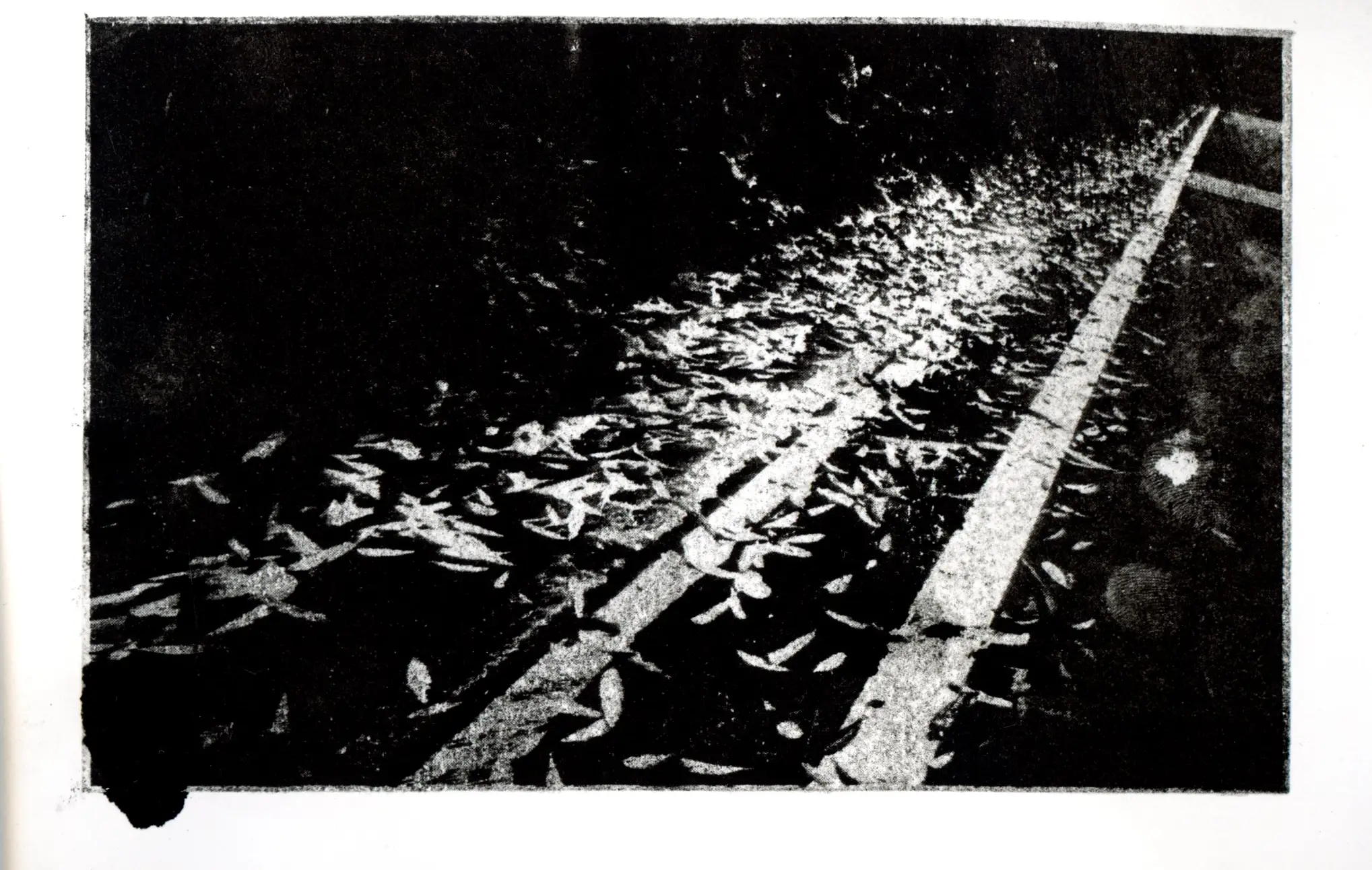 Return — image 16