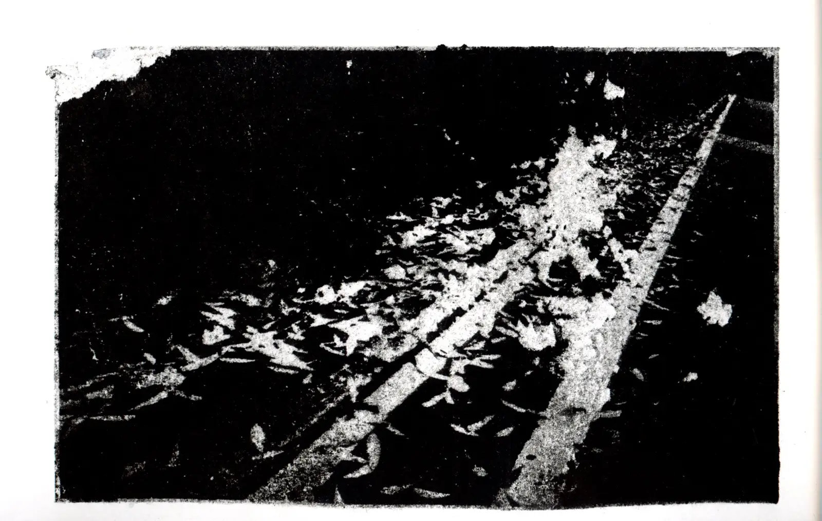 Return — image 17