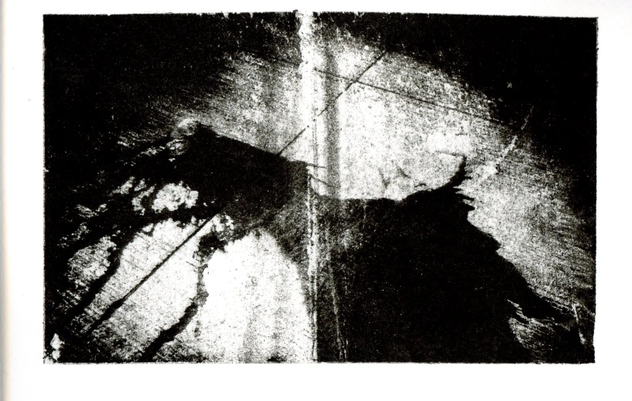 Return — image 19
