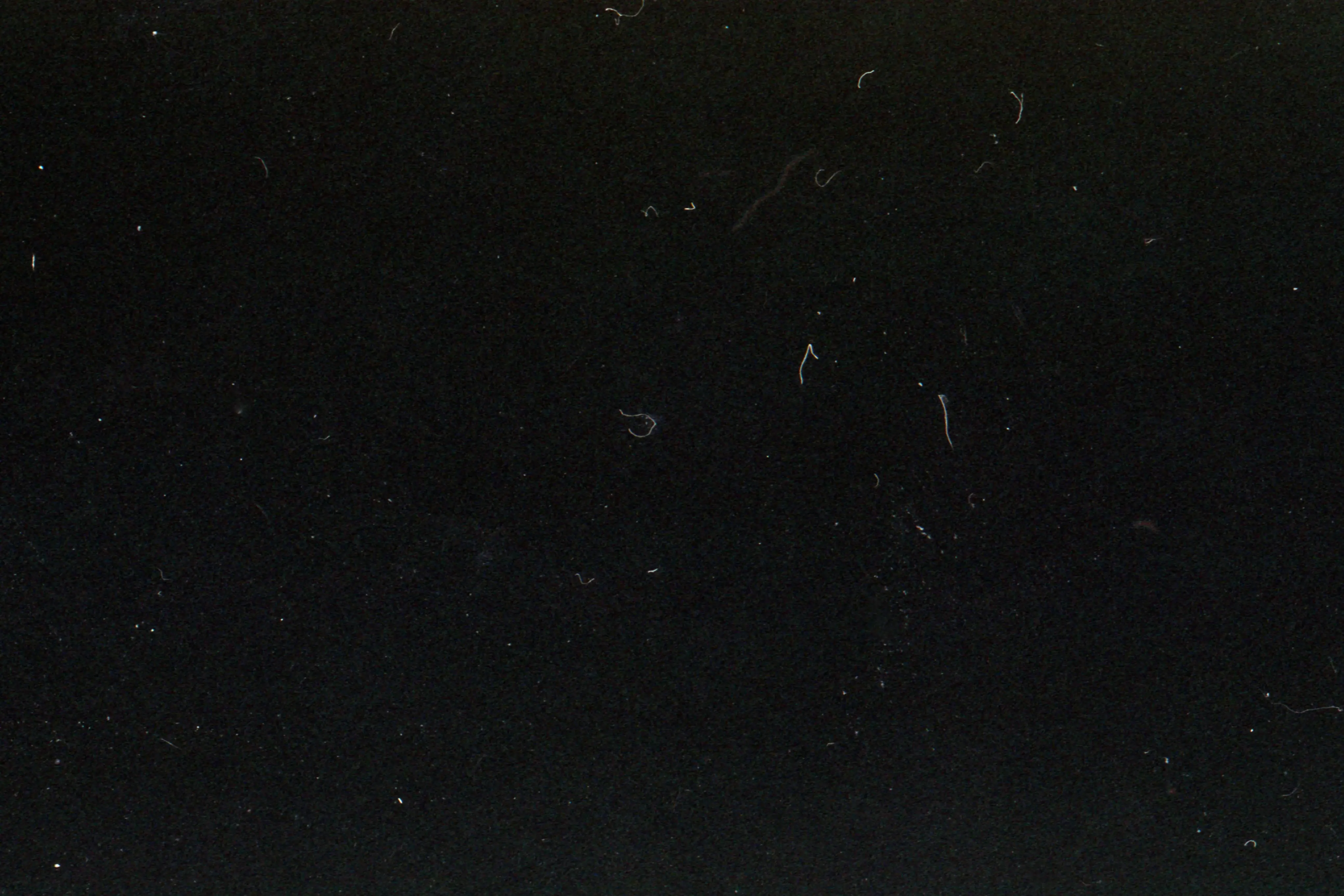 Starry Sky — image 1