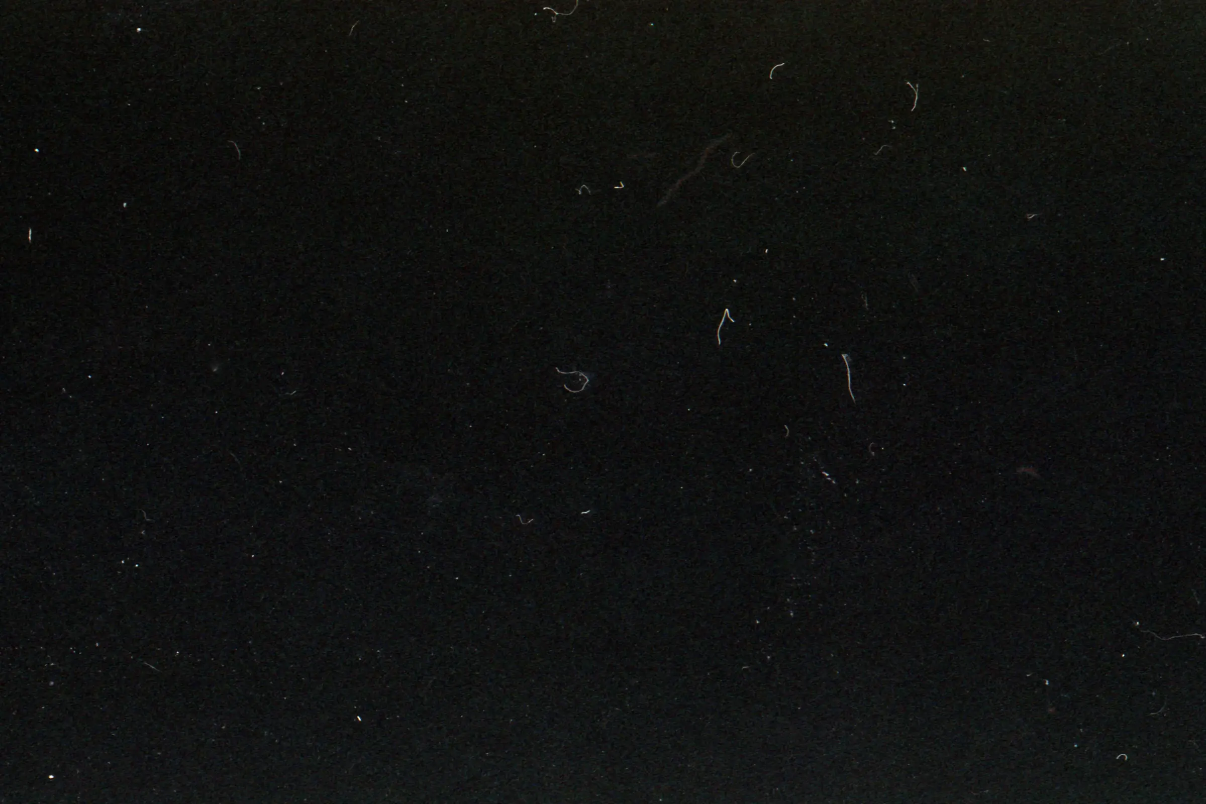 Starry Sky — image 1