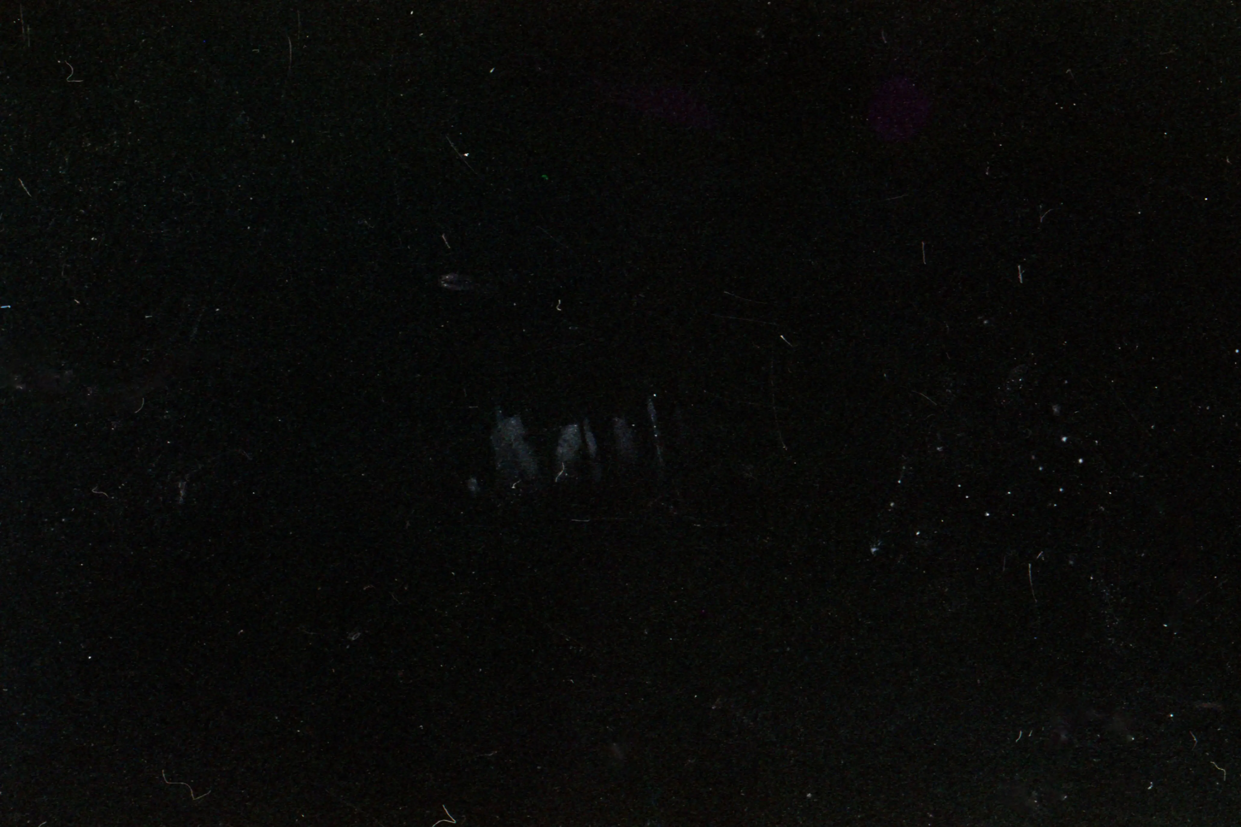 Starry Sky — image 6