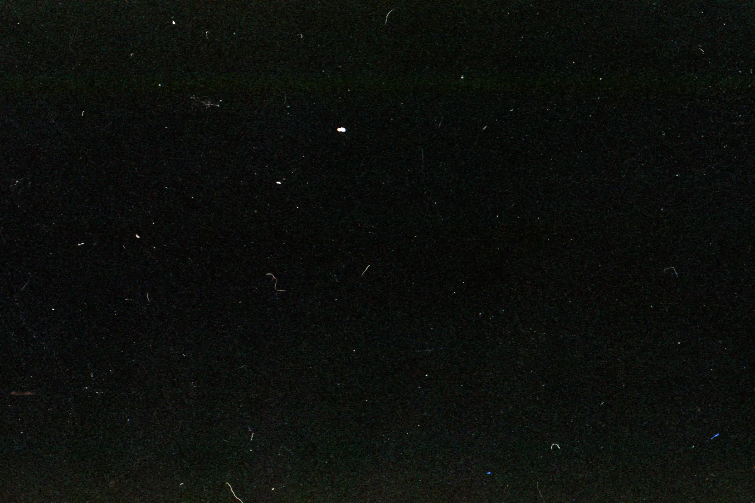 Starry Sky — image 9
